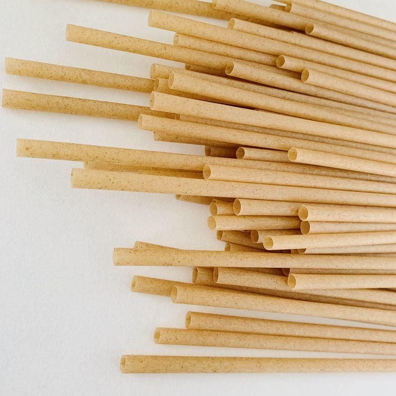 Sugarcane Straw with 100% Compostable Natural Material