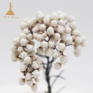 High Quality Millet Flower for Home Decoration