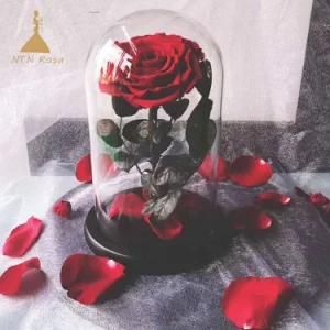 Endless Preserved Roses Flower in Glass Romantic Christmas Valentine&prime;s Day Gift