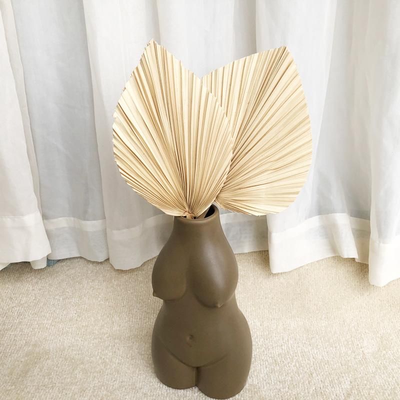 Decorative Dried Palm Leaf Sun Palm Fan Leaves Preserved Palm Leaves Natural Sun Spears Palm Leaves Dried Palm Leaves
