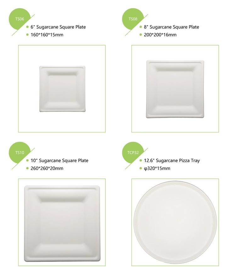 100% Biodegradable Sugarcane Bagasse 3 Compartment Divided Dinnerware