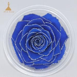 Beautiful Decorative Preserved Rose Flowers for Christmas Decoration