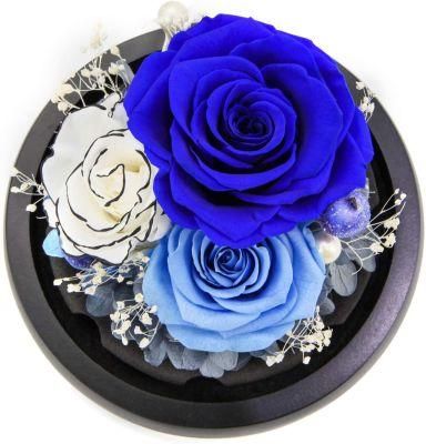 Eternal Preserved Rose in Glass Dome Beauty Rose-Romantic Gifts for Valentine&prime;s Day, Mother&prime;s Day, Christmas, Birthday, Wedding Anniversary