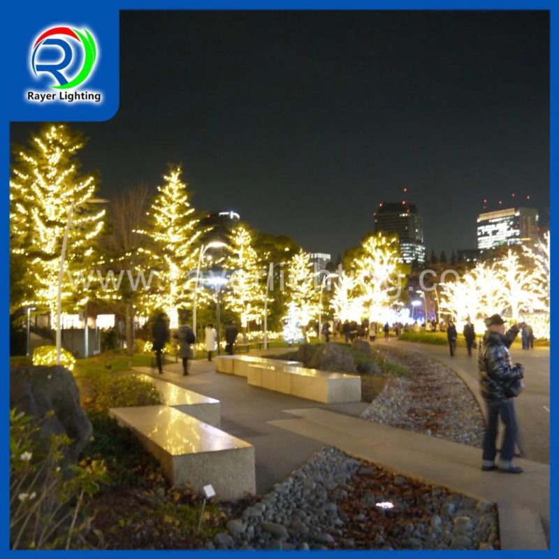 LED Outdoor Twinkle Lights Wedding Decoration Outdoor LED Lighting Chain