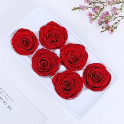 Preserved Flower 6 PCS Rose Head Preserved Flowers Immortal Rose Girlfriend Mothers Eternal Life Gifts Box, Light Pink