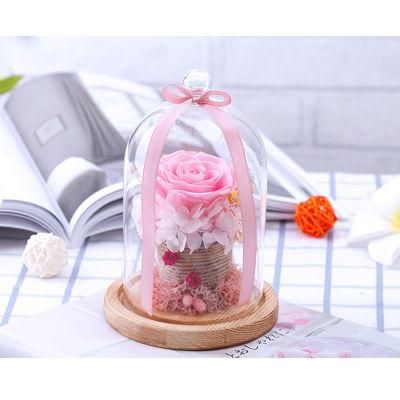 Wholesale Natural Long Lasting Flower Dried Glass Cover Preserved Roses