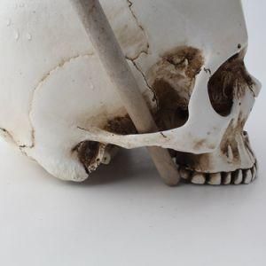 Halloween High Quality Resin Antique Skull Head