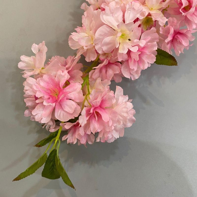 High Quality Cherry Blossom Flower Tree Cherry Blossom Flower