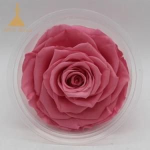 Wedding Bridal Bouquets Natural Eternal Preserved Rose Flowers