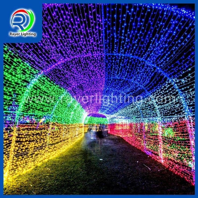 LED Decoration Outdoor Decoration Christmas Light LED String Light