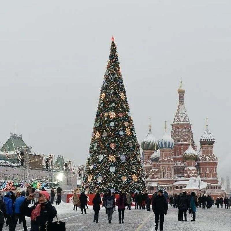 Shopping Mall Advertising Lighting Christmas Tree with Custom Light Ornaments