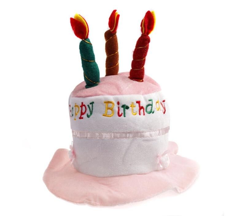 Happy Birthday Plush Cake Hats with Candles Pink or Blue Novelty Party Hat