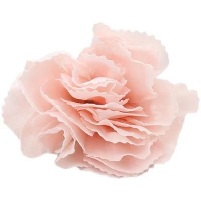 Factory New Designs Carnation Soap Flower Gift for Valentine&prime;s Day, Christmas, Mother&prime;s Day, Anniversary
