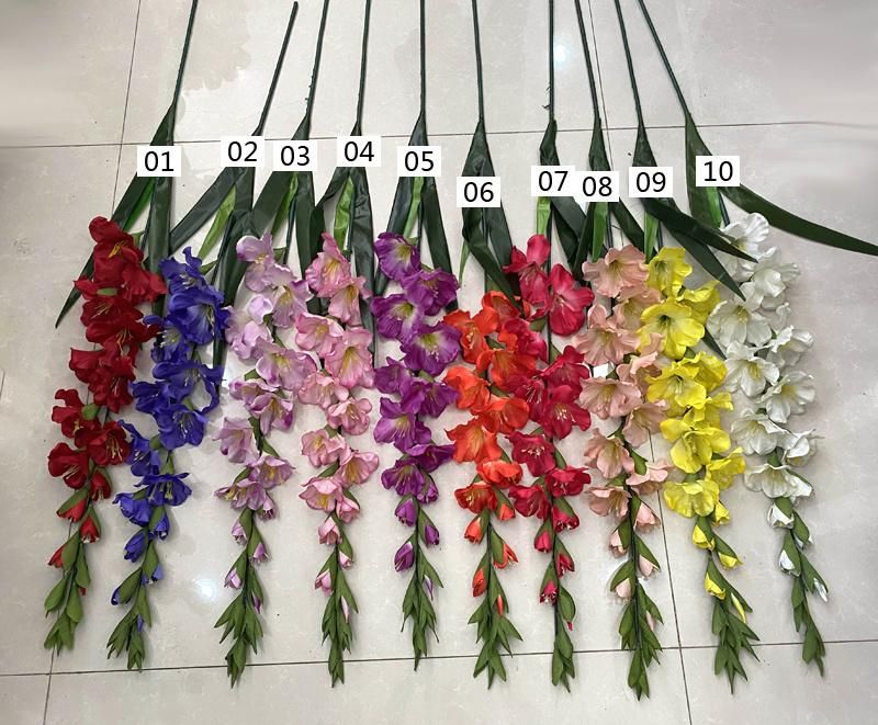 Tall Vase Gladiolus Wedding Flowers with Long Stem Wholesale