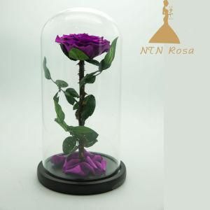 Party Supplies European Popular Home Decoration Belle Rose in Glass