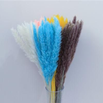 15PCS/Bundle Small Pampass Grass Bouquet of Dried Flowers Gifts for Lovers