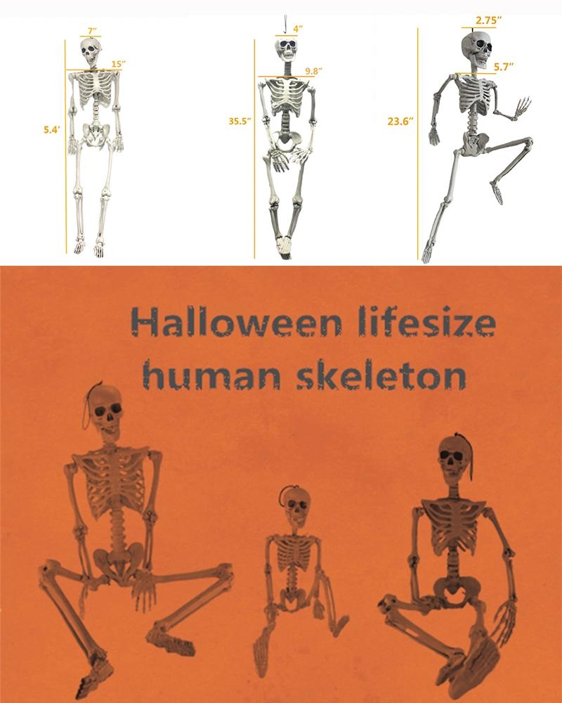 Mini Animal Large Halloween Skeleton for Holidays