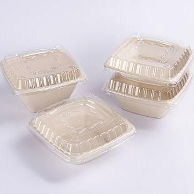 Biodegradable and Compostable Sugarcane Pulp 24oz Square Bowl