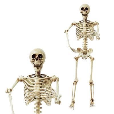 Pose-N-Stay Dog 28&quot; Halloween Skeleton for Holidays