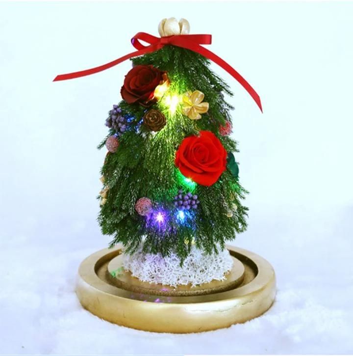 Forever Christmas Gift Tree Decoration Preserved Roses in Glass with LED Light