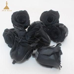 4~5cm Black Preserved Flower Rose for Party Decoration Gift