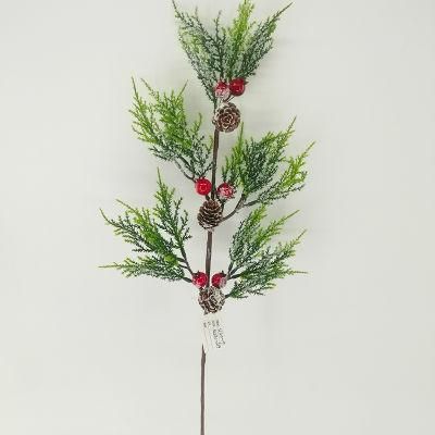 Christmas Cone Cuttings Flower Tree Cuttings Christmas Flower