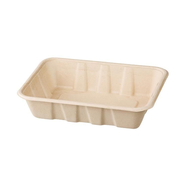 Customized Eco Friendly 100% Biodegradable Compostable Diaposable Sugarcane Box