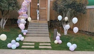 Macaron Balloon Mall Shop Decoration Balloon for Birthday Party