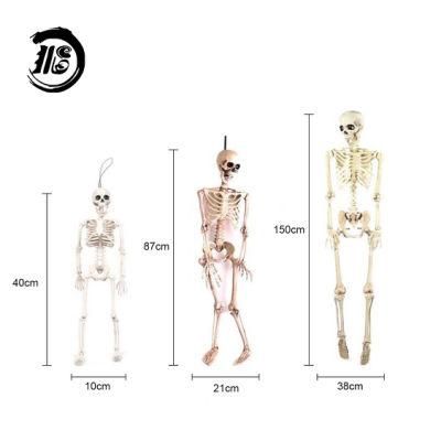 Custom Halloween Decoration Human Skeleton Model Medical Model