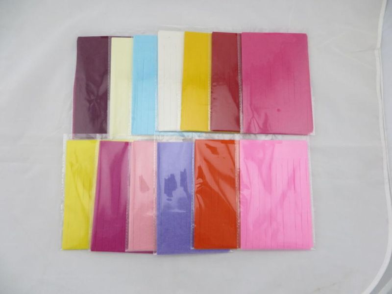 Wedding Favor Colorful Party Tassel Garland Tissue Paper Garland