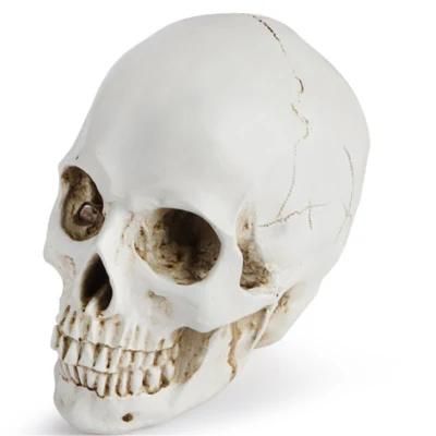 Custom Resin Spooky Human Skull Halloween Gifts &amp; Crafts