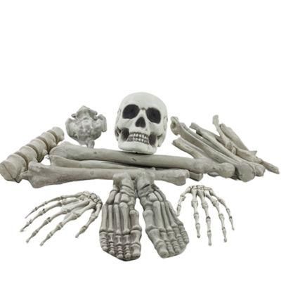 Cat Pose Skeleton Dog Full Size Halloween Skeleton for Party
