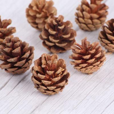 Pine Cone for Christmas Decoration