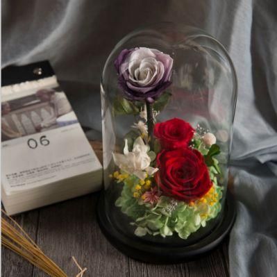 2018 Hot Products Artificial Flowers Valentine Day Gift for Girlfriend Preserved Rose Flower