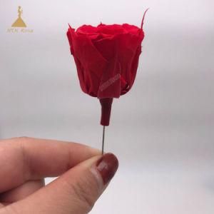 Awesome China Red Long Lasting Preserved Roses for Wedding Decor