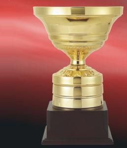 European New Design Sports Souvenir Plastic Trophy