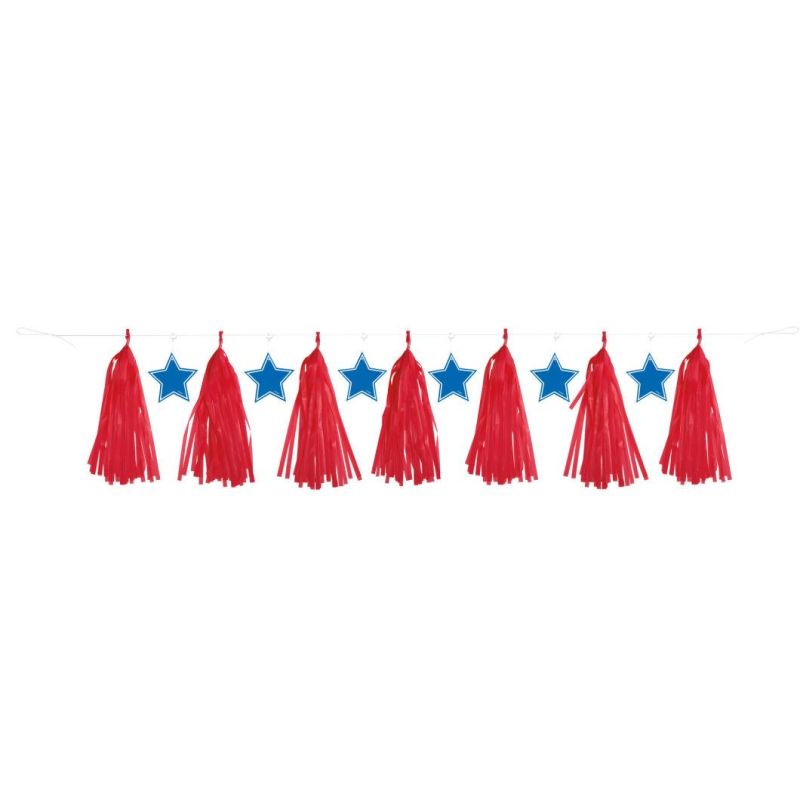 Tassel Party Garland/Tissue Paper Tassels/Tassel Garland String