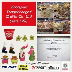 Chinese New Year Decoration Ideas, Shoe, Pet