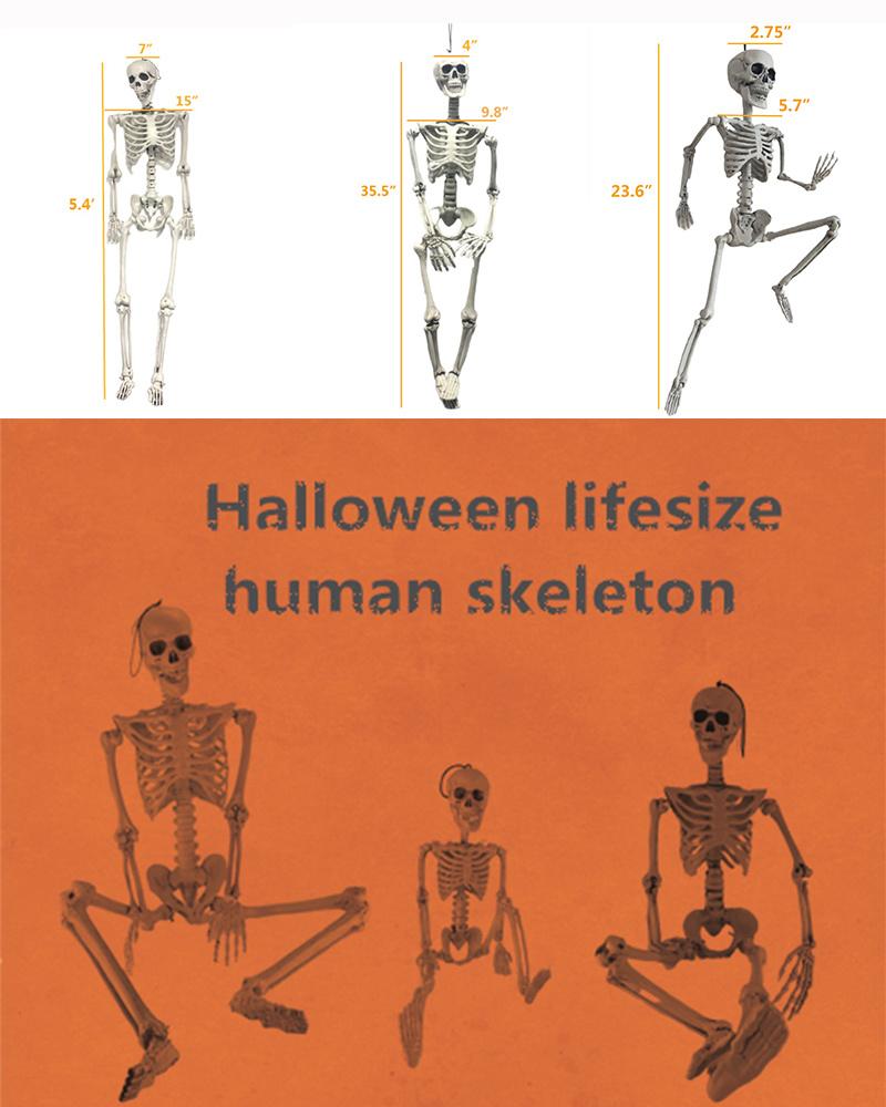 16"/28"/30" Pose-N-Stay Life Size Removable Creepy Halloween Skeleton