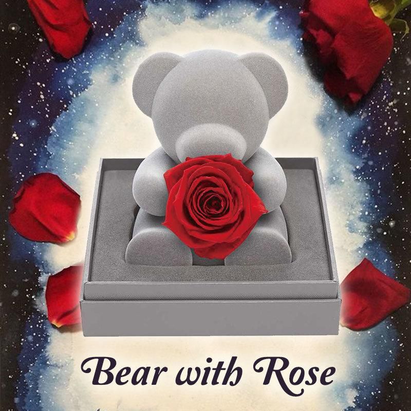 Beautiful Handmade Real Fresh Preserved Rose Honey Sitting Teddy Bear for Girlfriend Love Gift