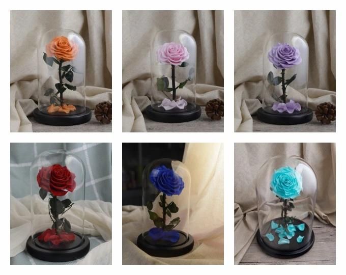 Beautiful Rose Flowers Everlasting Rose Preserved Flower Eternal Rose in Glass