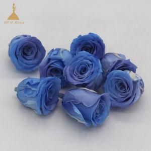 Newly Customized Order Flower Decoration Eternal Rose Fresh Preserved Roses Flowers