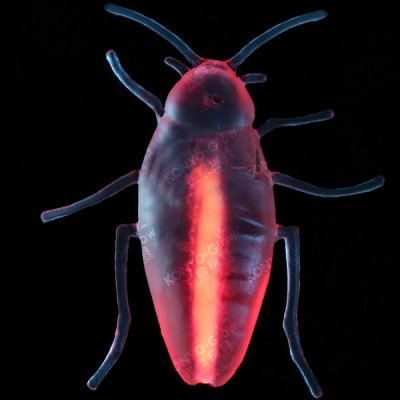 New Animal Toys Glow Cockroach for Halloween