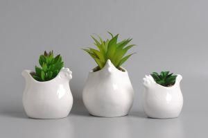 High Quality Ceramic Animal Decoration with Plant