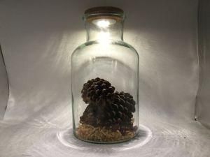 Huge Size Glass with LED Cork Pine Cone in for Home Decoration