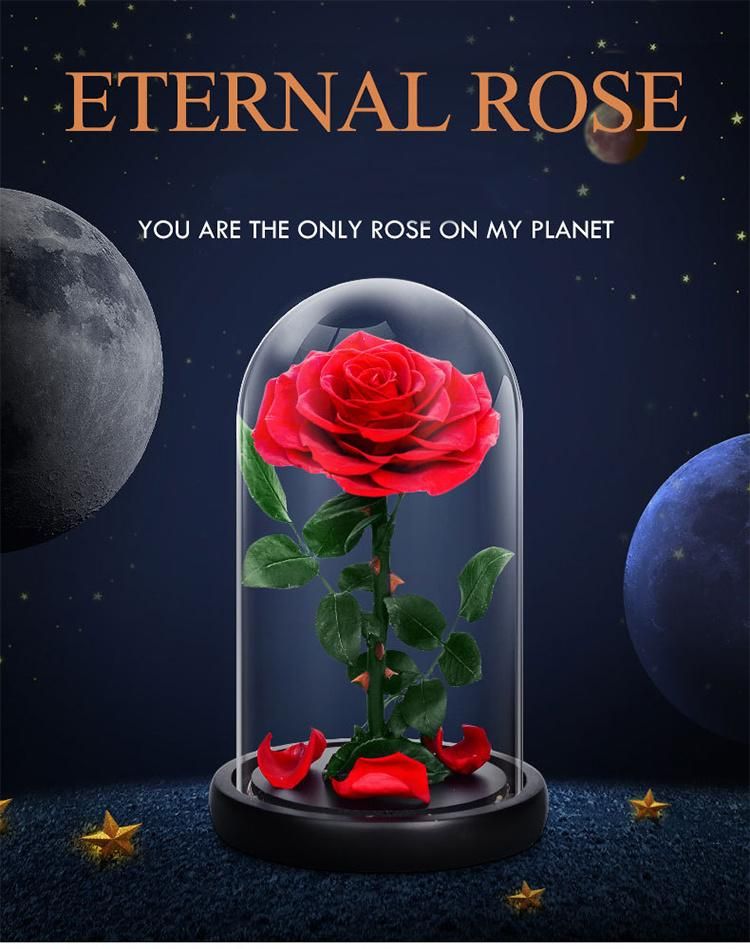 Eternal Rose -Preserved Real Rose in Glass Dome Gift Eternal Flower, Beautiful Gift for Valentine′s Day Mother′s Day Christmas Anniversary Birthday
