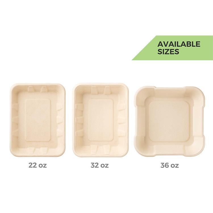Customized Eco Friendly 100% Biodegradable Compostable Diaposable Sugarcane Box