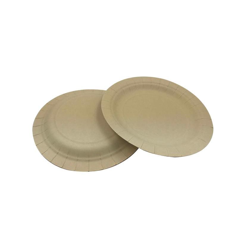 Eco Friendly Biodegradable Bamboo Birthday Party Paper Plates