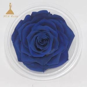 Wholesale Preserved Fresh Dried Flowers Dark Blue Roses for Arrangement
