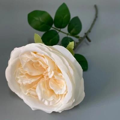 Hot Sale Artificial Austin Rose Flower for Home or Wedding Decoration